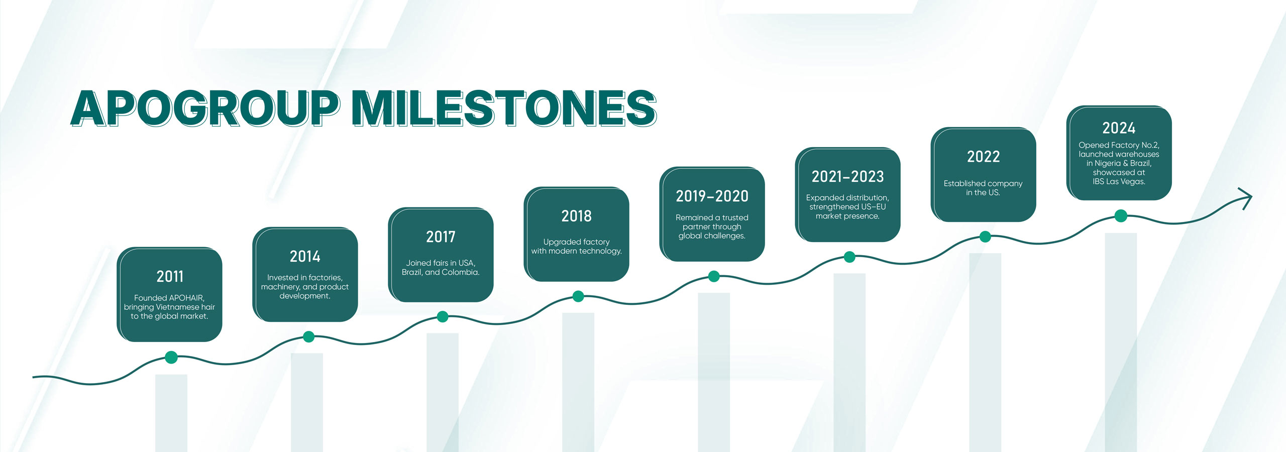 history of formation - apogroup