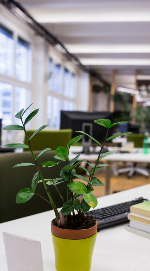 Green Lifestyle at Work