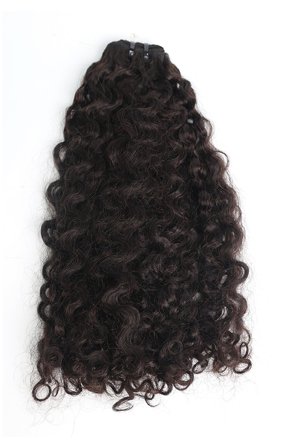 Burmese Curly