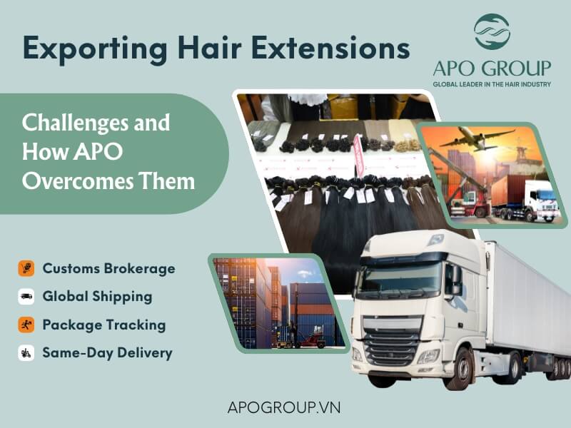 How APO Export Hair Extensions