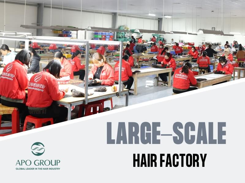 APOGROUP’s large-scale Vietnamese hair factory