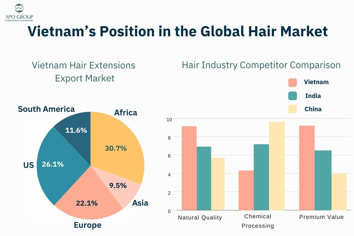 Vietnam hair extensions export market and Hair industry competitor comparison