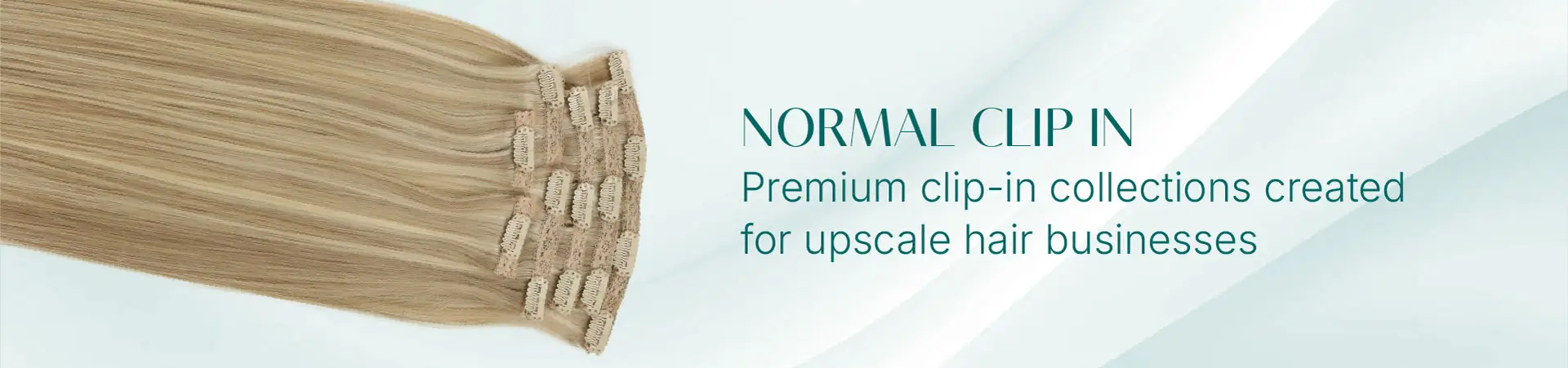 Normal Clip-in Category Banner